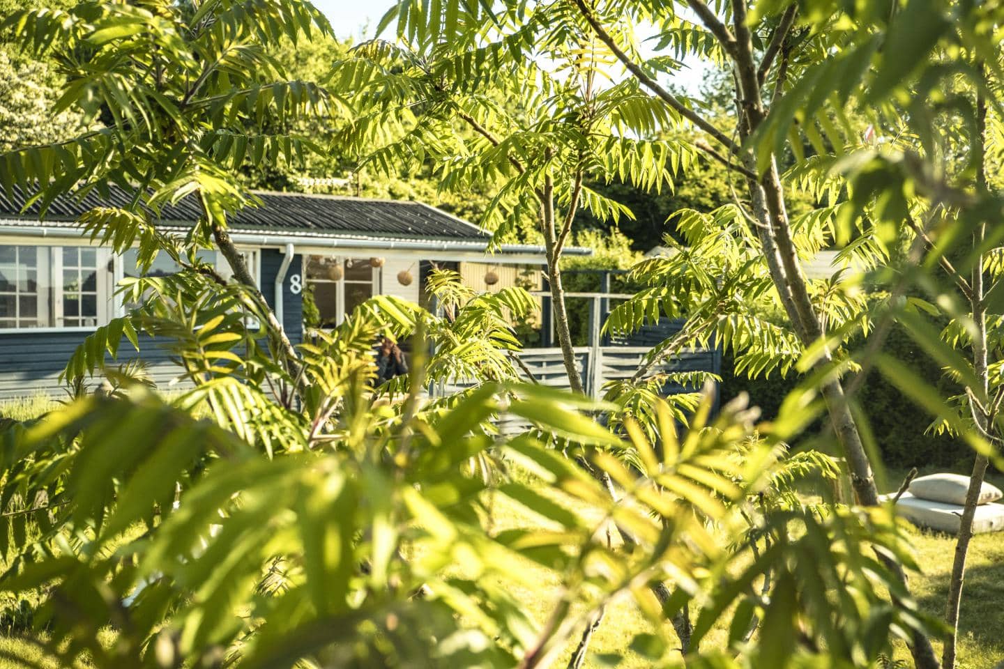 Få gode råd til at undersøge sommerhuset for skader, så det er klar til en ny sæson.