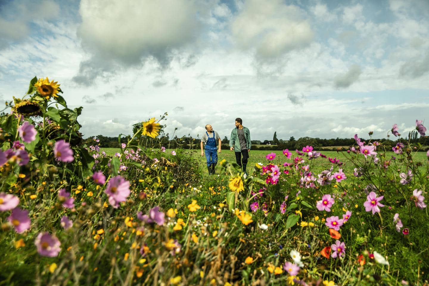 Mænd omgivet af blomster