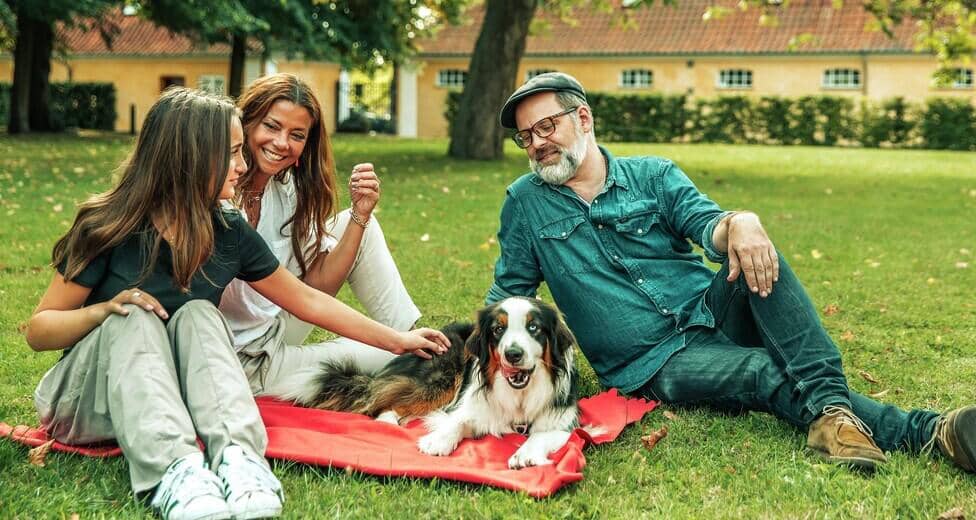 familie med hund sidder i græsset i park